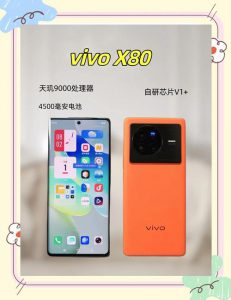 实测 vivo X80:影像、性能、体验三大核心疑问,用数据给出答案 实测 vivo X80:影像、性能、体验三大核心疑问,用数据给出答案